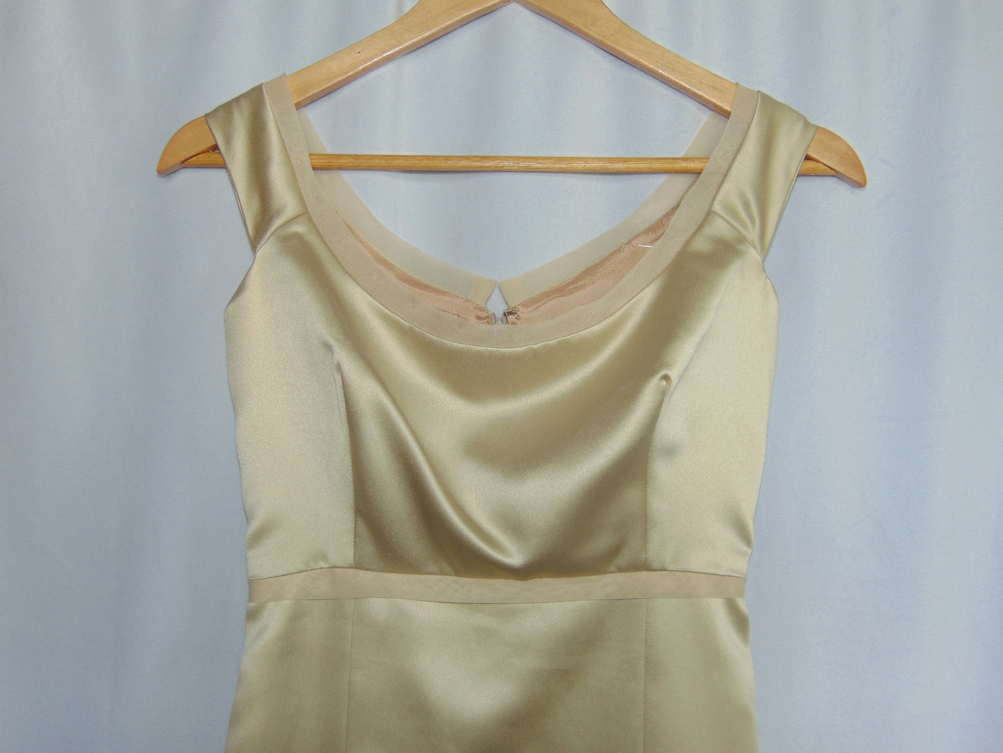 CHAMPAGNE VERA WANG GOWN