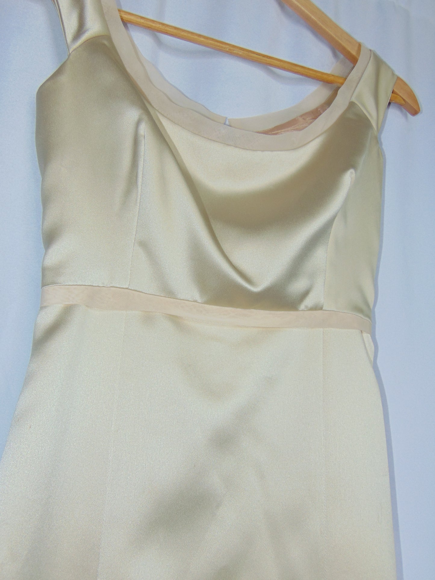 CHAMPAGNE VERA WANG GOWN