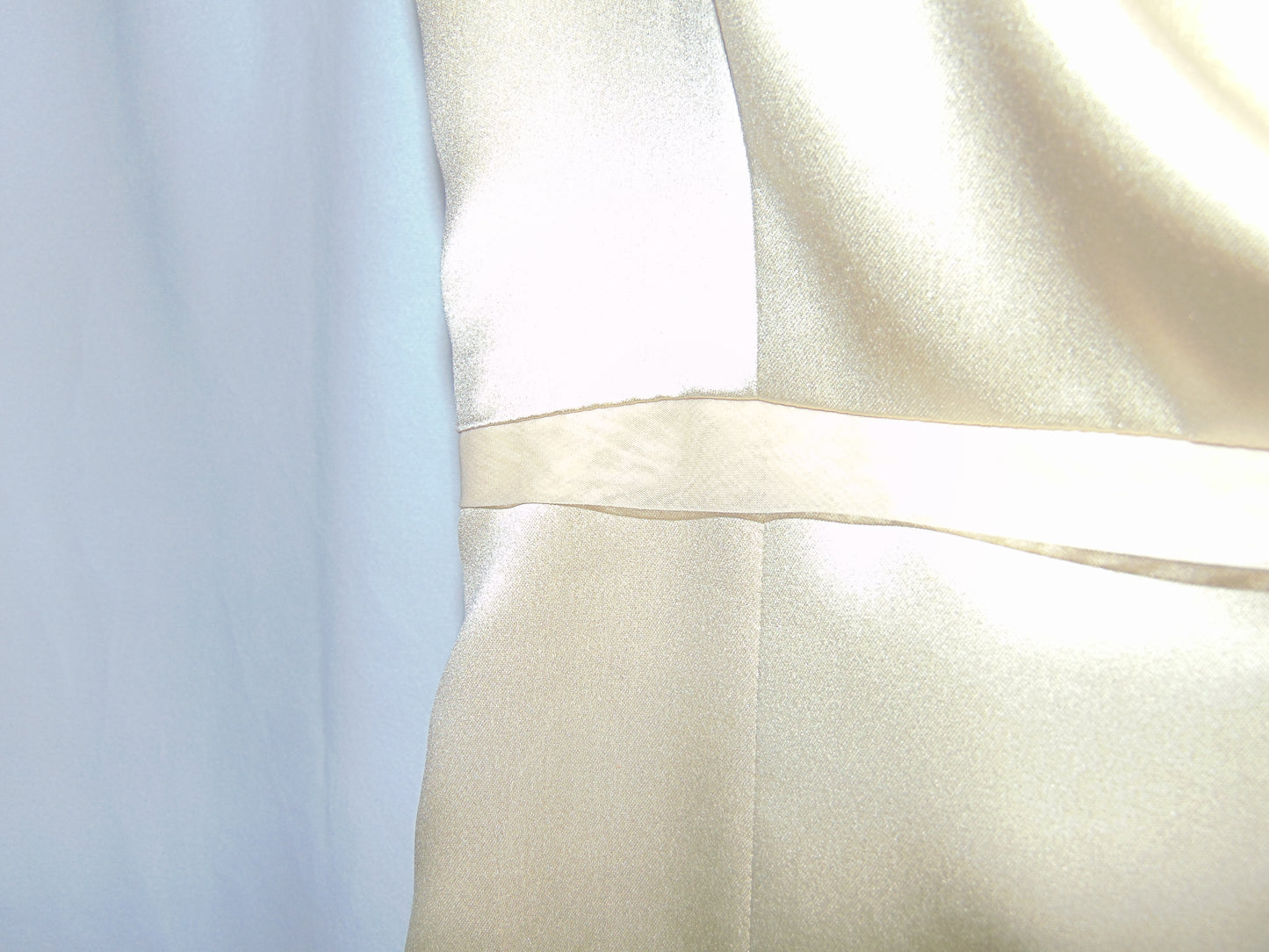 CHAMPAGNE VERA WANG GOWN