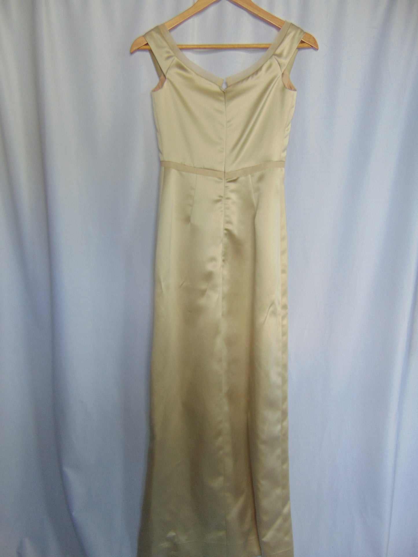 CHAMPAGNE VERA WANG GOWN
