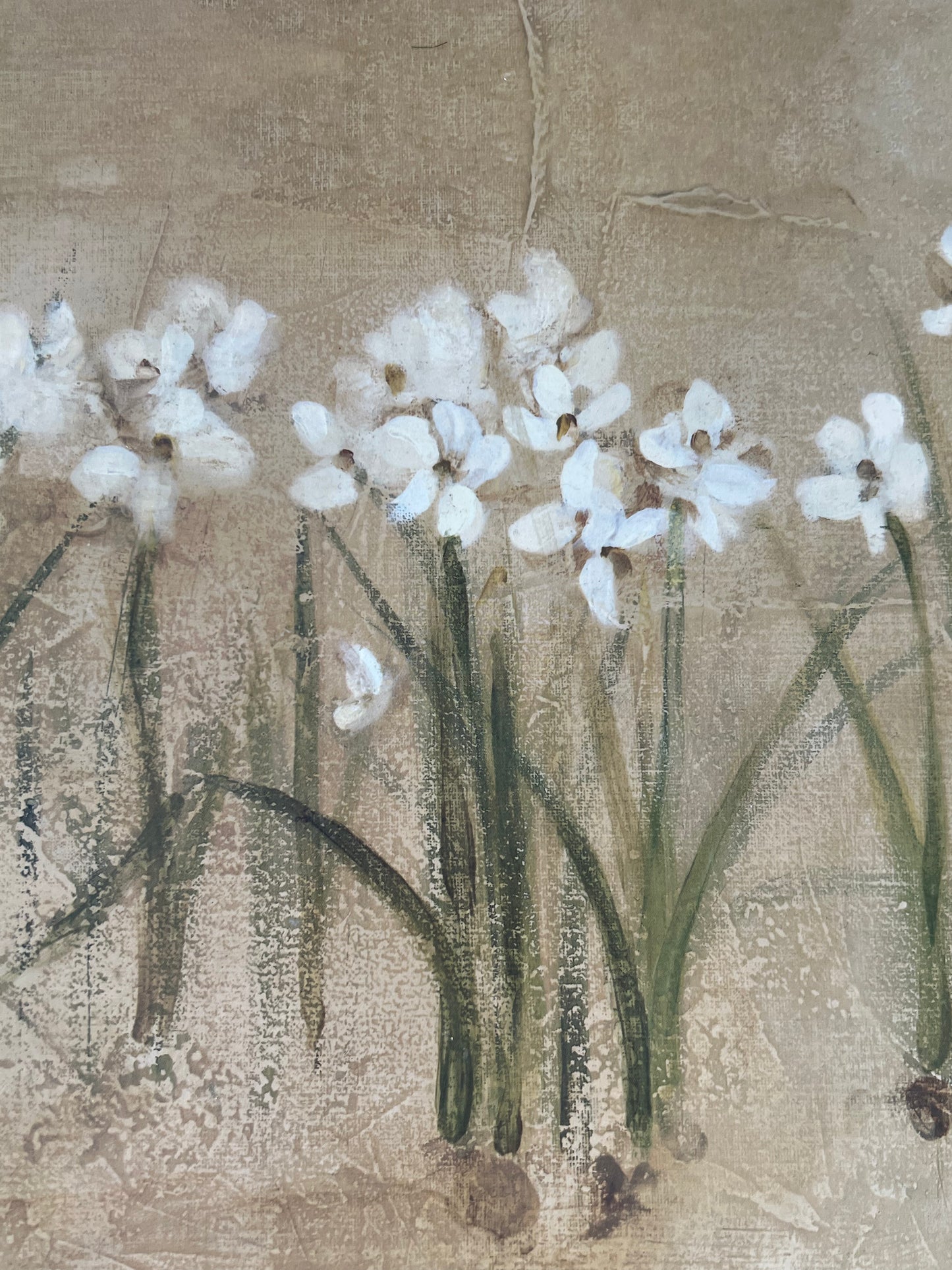 CHERI BLUM "NARCISSUS AND ORCHID" CORK PLACEMATS